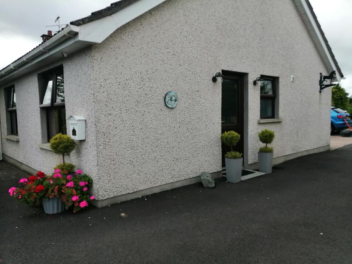 Lynn'S Lodge, International Airport 15Mins Randalstown Zewnętrze zdjęcie